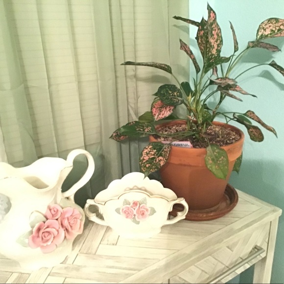 Vintage Porcelain Victorian Pitcher & Server - Picture 3 of 15